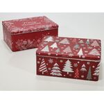 Χριστουγεννιάτικο κουτί μεταλλικό σε ορθογώνιο σχήμα 22cm σε 2 σχέδια