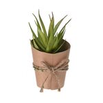 Πλαστικό φυτό σε γλαστρούλα από χαρτόνι δεμένη με σχοινί 7x15cm