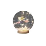 Glass Dome W Butterflies Led