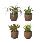 Κακτάκια διακοσμητικά με διαστάσεις 6x6x10cm σε 4 σχέδια