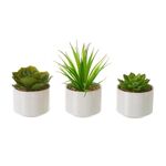 Κακτάκια διακοσμητικά με διαστάσεις ύψος 10cm σε 3 σχέδια