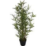 Διακοσμητικό φυτό bamboo σε γλάστρα 90cm