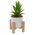 Ψεύτικο πλαστικό φυτό σε λευκή γλάστρα με ξύλινη βάση 11x11x16cm