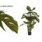 IberGarden Πλαστικό φυτό σε γλαστράκι 150cm