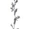 Χριστουγεννιάτικη διακοσμητική γιρλάντα με φύλλα σε ασημί χρώμα 170cm